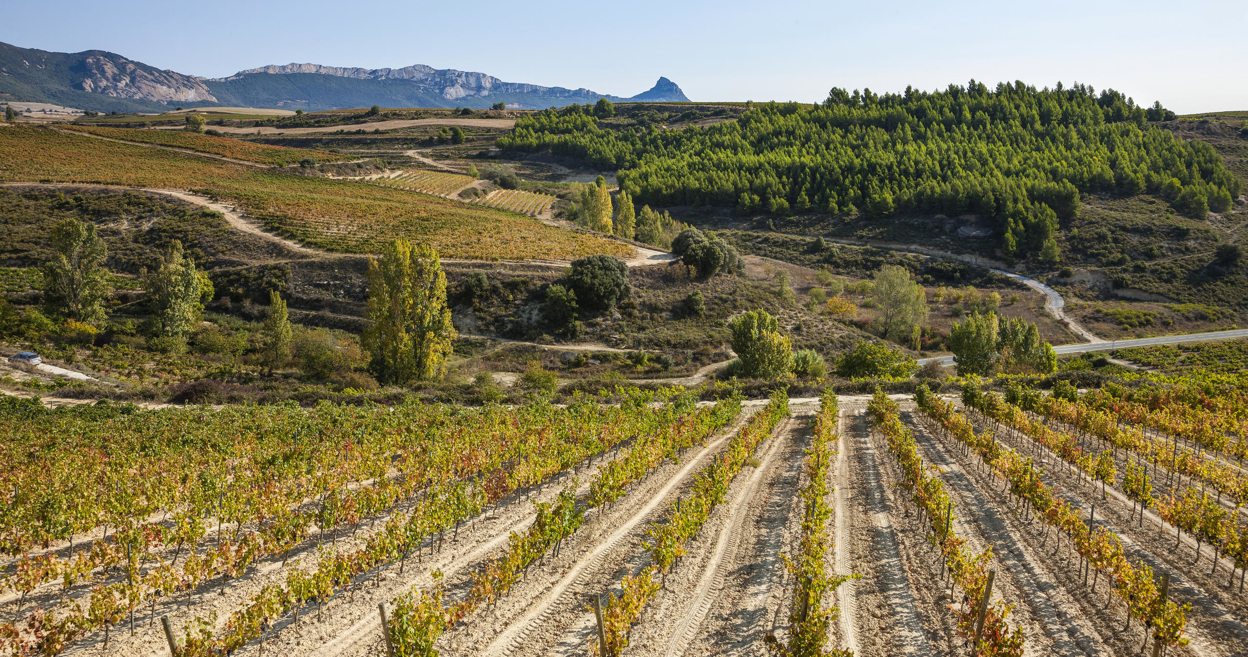 Tour de Vinos Rioja: Bodega y Almuerzo Tradicional desde San Sebastián en Semi-Privado con Recogida - Acomodações em San Sebastian