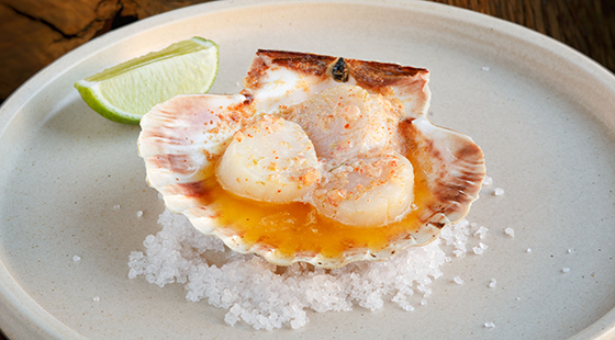 Baked scallops in the shell, coral butter