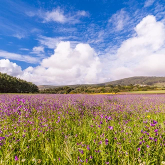 tourhub | Exodus Adventure Travels | Camino de Santiago Trek 