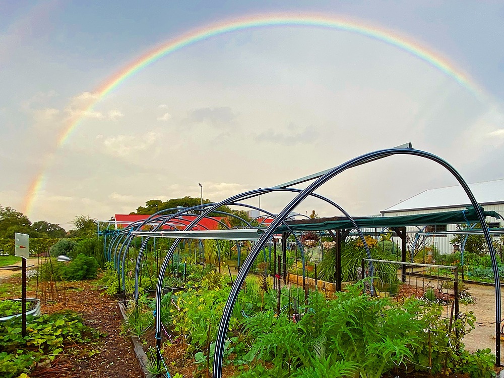 Photo of North Perth Community Garden with a rainbow