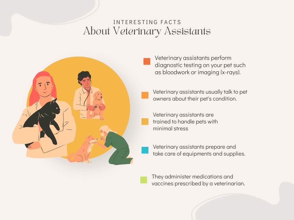 Facts about veterinary technicians