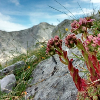 tourhub | Exodus Adventure Travels | Walking the Picos de Europa 