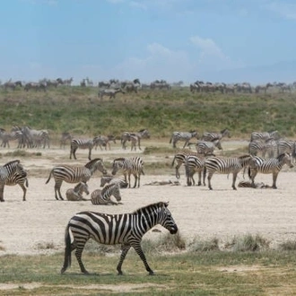 tourhub | Widerange African Safaris | 7 days Tanzania Budget/Midrange Safari by Widerange African Safaris 