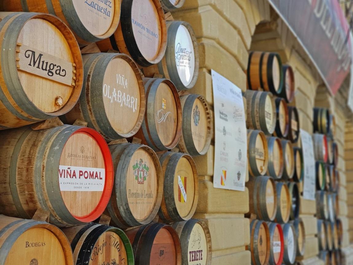 Tour de Vinos Rioja: Bodega y Almuerzo Tradicional desde Pamplona en Semi-Privado con Recogida - Acomodações em Pamplona