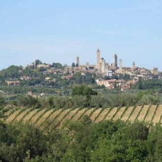 tourhub | UTracks | Via Francigena: Lucca to Siena 