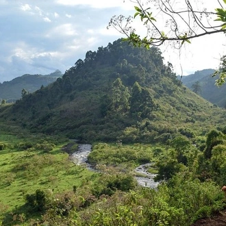 tourhub | Gracepatt Ecotours Kenya | 8 Days Best Of Kenya Big 5 Safari on 4x4 land Cruiser Jeep 