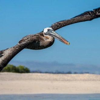 tourhub | G Adventures | Galápagos — North, Central, & South Islands aboard the Eden 