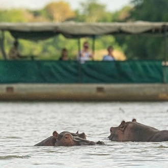 tourhub | SMILE WITH US TOURS IN AFRICA | Amazing Tour to Nyerere National Park from Dar es Salaam 