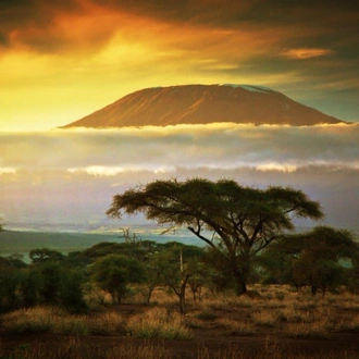 tourhub | ARP Travel Group | Through the Rift Valley, Sentrim Lodges - Private Tour 