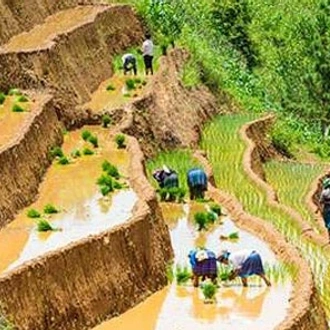 tourhub | Mr Linh's Adventures | Mu Cang Chai trekking 4 days 3 nights 