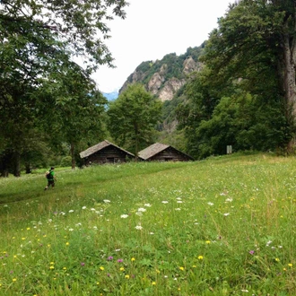 tourhub | The Natural Adventure | Via Bregaglia - Hiking in Swiss and Italian Alps 