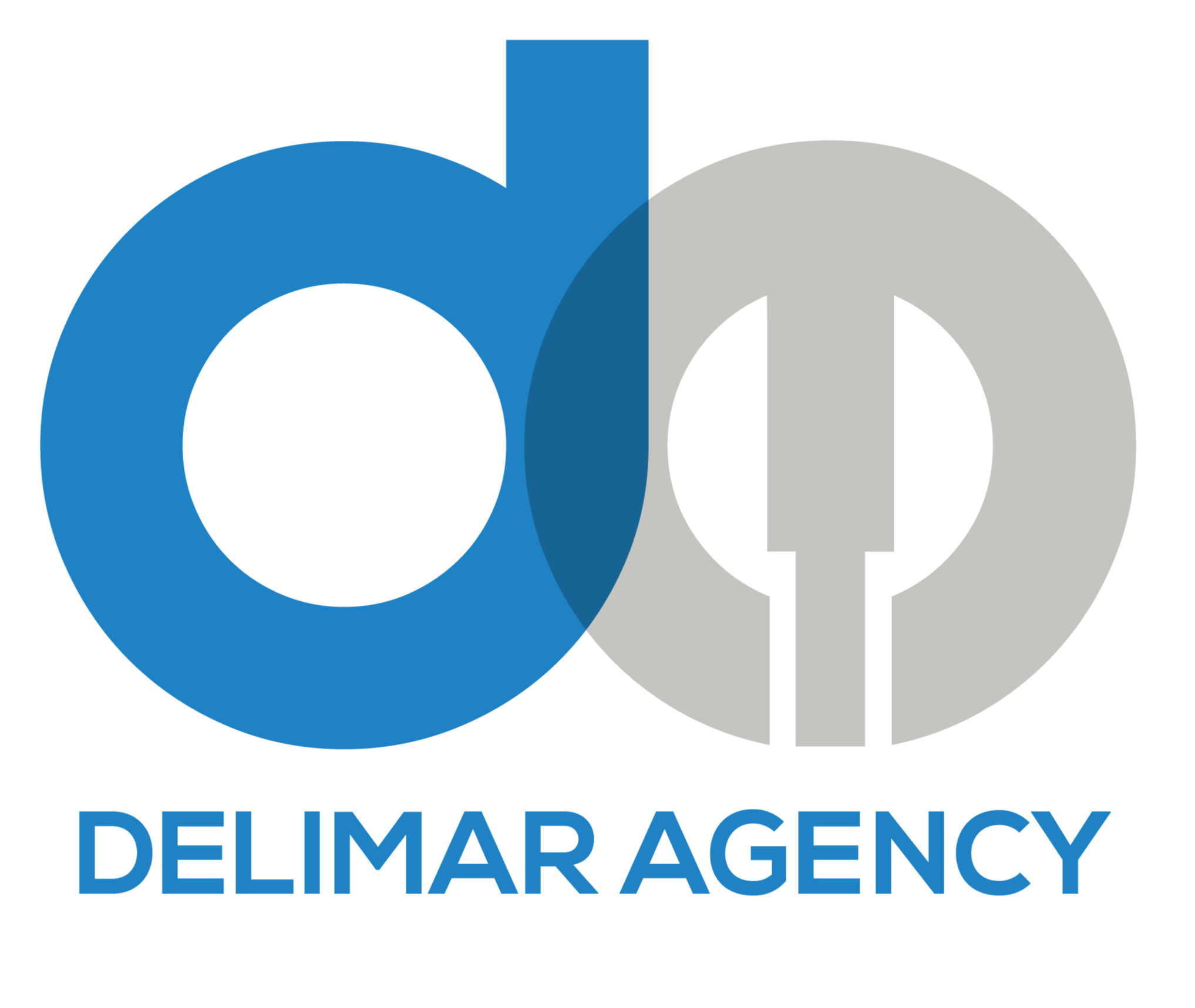 Delimar Agency Inc logo