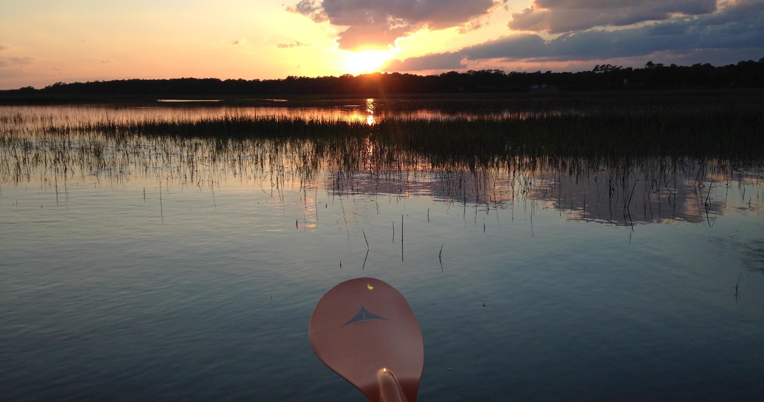 Scenic Marsh Sunrise Tour