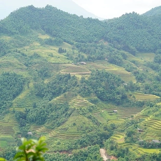 tourhub | Mr Linh's Adventures | Trekking through Hoang Su Phi rice fields 4 days 3 nights 