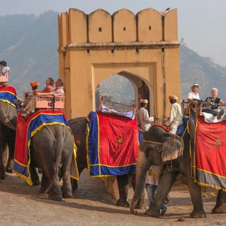 tourhub | Panda Experiences | Rajasthan Highlights Tour 