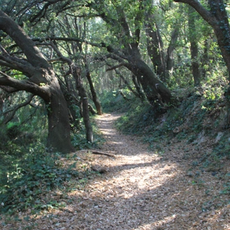 tourhub | Exodus Adventure Travels | Coastal Walks of Catalunya 