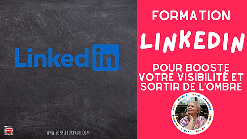 Représentation de la formation : Formation Linkedin