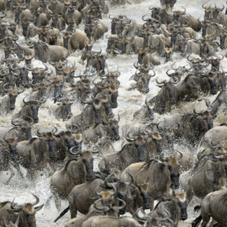 tourhub | Alaitol Safari | The Great Migration Safari 