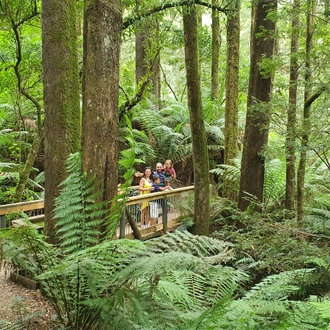 tourhub | Australian Natural Treasures Touring | Three Day Adelaide - Melbourne along Great Ocean Road Experience 