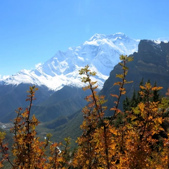 tourhub | Exodus Adventure Travels | Annapurna Circuit 