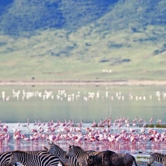 tourhub | On The Go Tours | Tanzania Wildlife Week - 7 days 