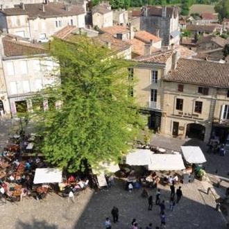 tourhub | UTracks | Bordeaux Vineyard Cycle 