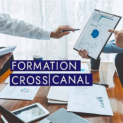 Représentation de la formation : Cross-canal et Digital Marketing : Optimiser l'Expérience Client