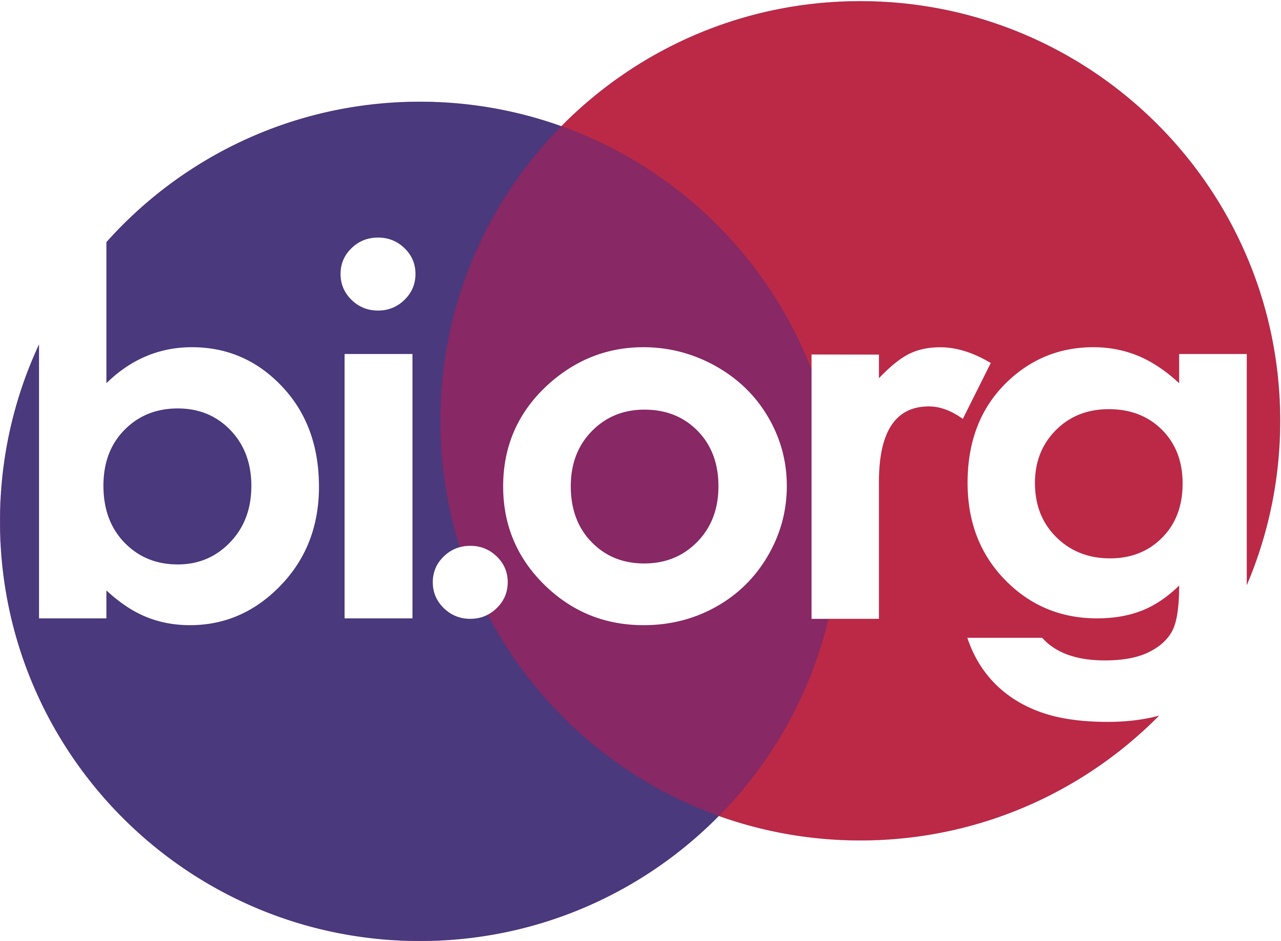 Bi Foundation logo