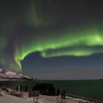 tourhub | Nordic Unique Travels | 2-Day Whale Watching Trip to Tromsø 