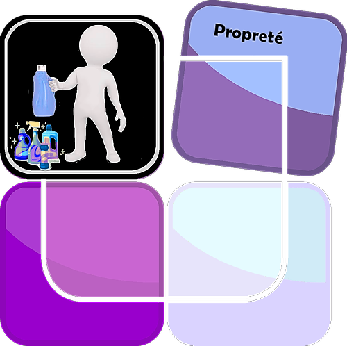 Représentation de la formation : Approche métiers de la Propreté  - Chimie des produits pour une prestation de remise en état