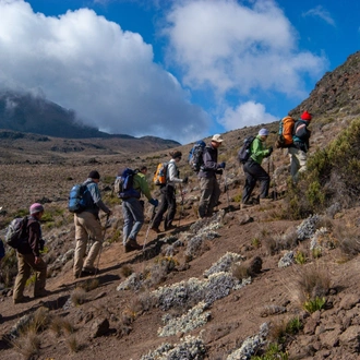 tourhub | Horizon Seeker Adventure | 6 days Marangu route on Kilimanjaro 