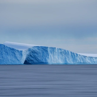 tourhub | Intrepid Travel | Best of Antarctica: Whale Discovery (Ocean Endeavour)  