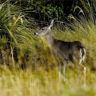 tourhub | Bamba Travel | Ecuador Volcanoes Adventure 5D/4N 