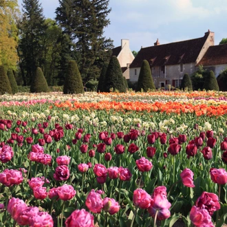 tourhub | Exodus Adventure Travels | Cycling the Chateaux of the Loire - Upgraded 