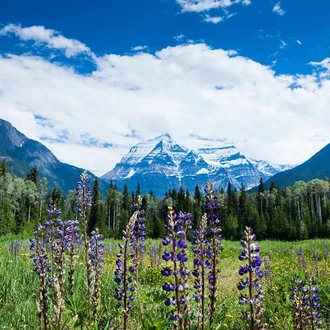 tourhub | Costsaver | Panoramic Canadian Rockies with Rocky Mountaineer Silverleaf 