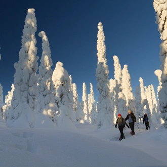 tourhub | Exodus Adventure Travels | Snowshoeing in Finland 