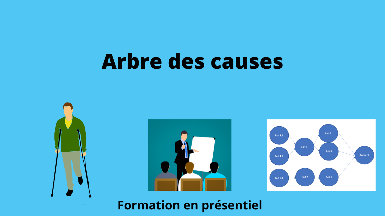 Représentation de la formation : Formation Arbre des causes