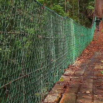 tourhub | Intrepid Travel | Borneo Expedition: Maliau Basin - Sabah's Lost World Trek 