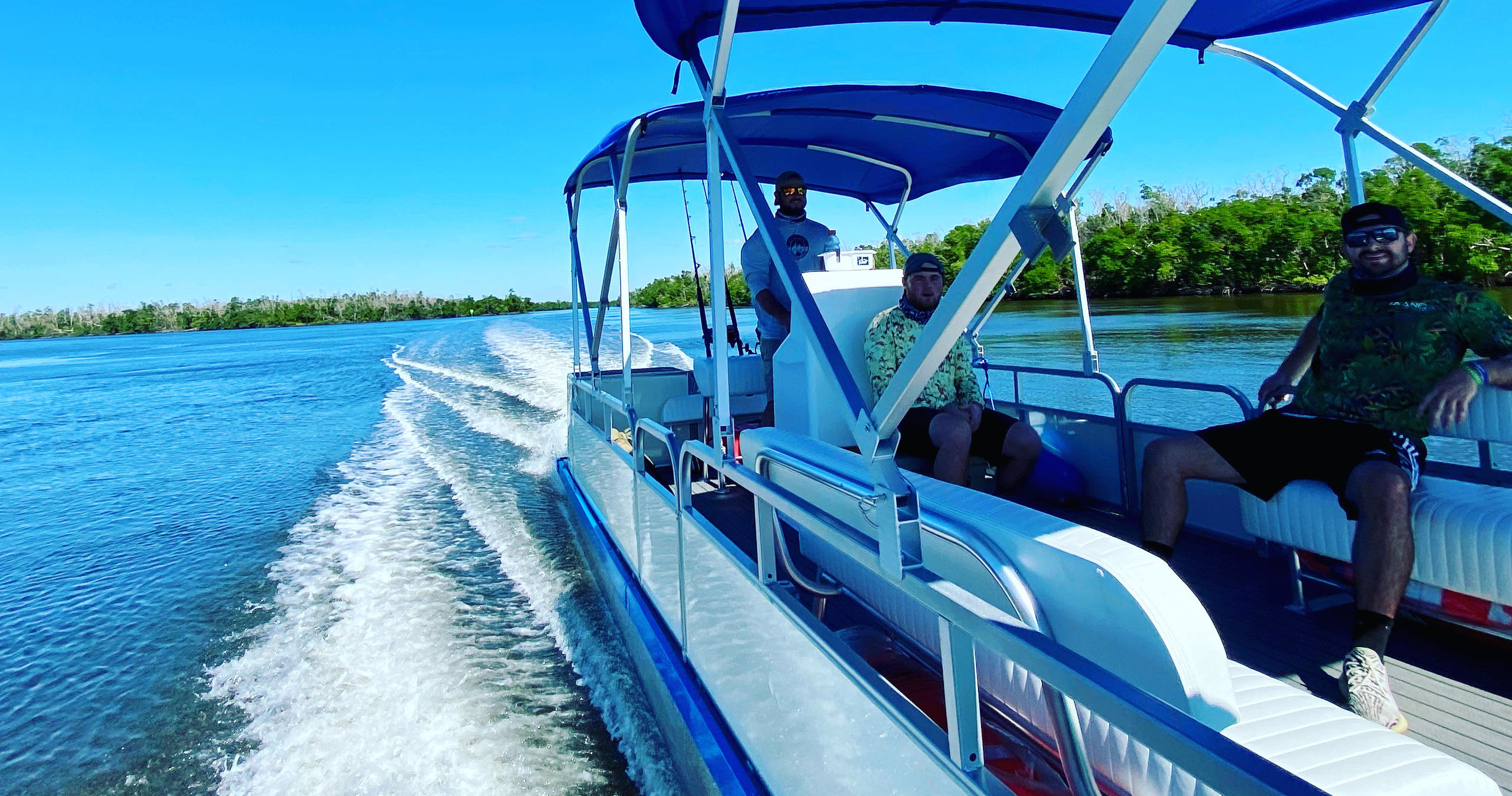 Dolphin & Manatee Boat Tour