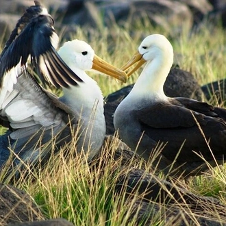 tourhub | BM Tours | Galapagos - Exploring San Cristobal Island 4 Days 