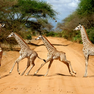 tourhub | ARP Travel Group | Scenic Kenya Safari 