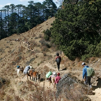 tourhub | Bhutan Acorn Tours & Travel | Bhutan Dagala Thousand Lakes Trek 