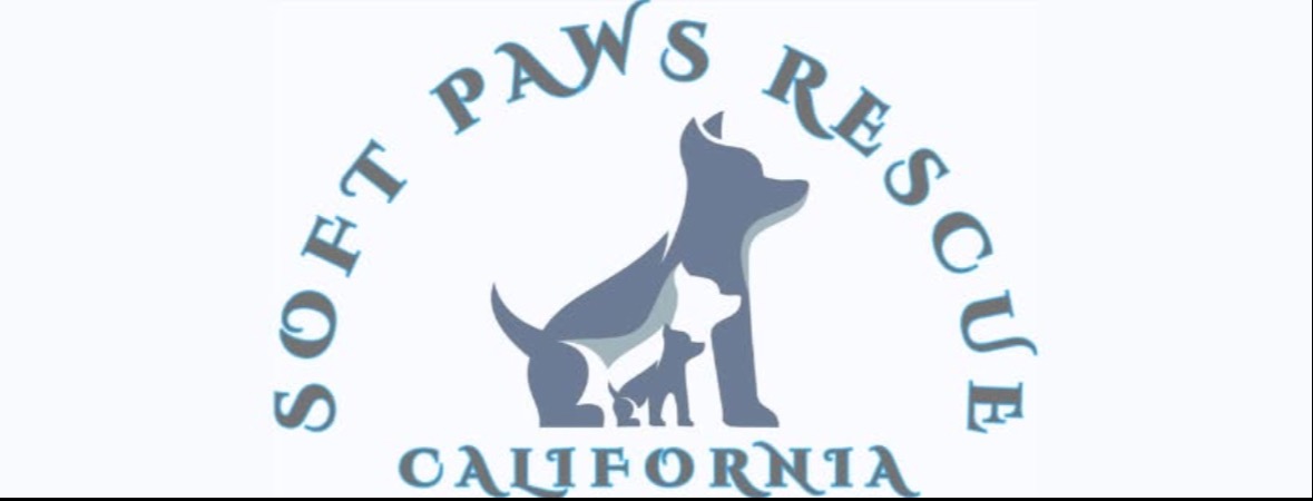 Soft Paws Rescue logo