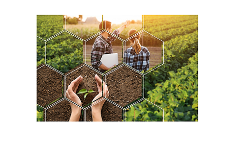 Représentation de la formation : MÉTIERS - PRODUCTIONS AGRICOLES INTEGREES ET ENJEUX ENVIRONNEMENTAUX