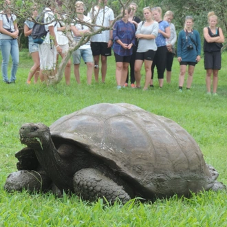 tourhub | Lead Adventures | The Galapagos Experience in 7 days 