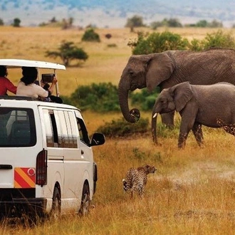 tourhub | Gracepatt Ecotours Kenya | Private 6 Days Aberdares, Lake Nakuru and Masai Mara Wildlife Safari 