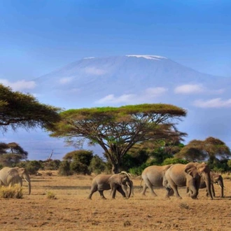 tourhub | Today Voyages | Best Parks of Kenya Deluxe Safari 