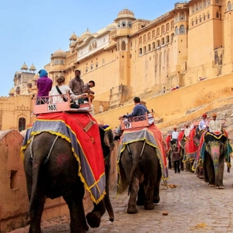 tourhub | Panda Experiences | Rajasthan Highlights 