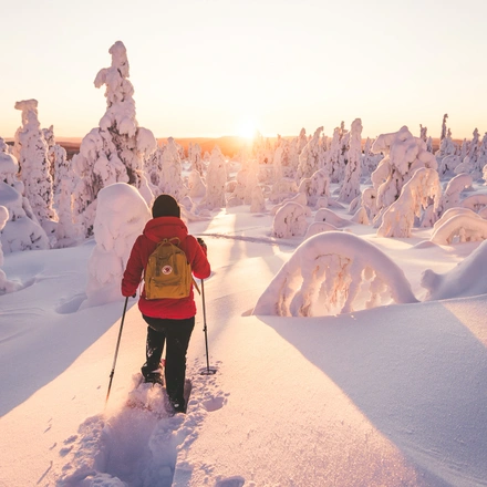 Cross-Country Skiing in Lapland