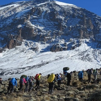 tourhub | Gracepatt Ecotours Kenya | 7 Days Mount Kilimanjaro Hiking- Rongai Route  